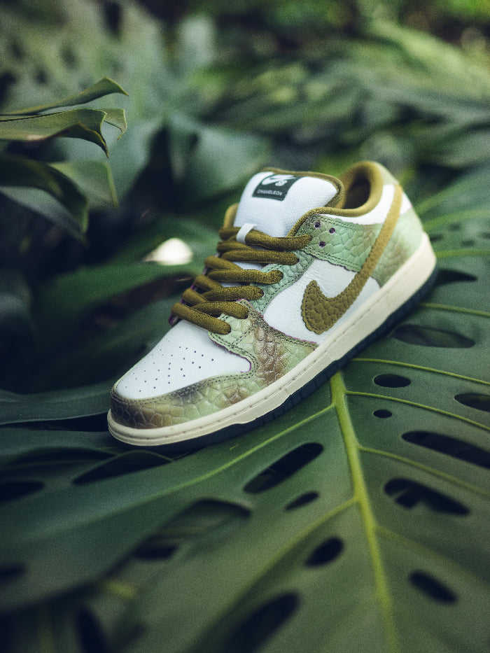 Diseno skateboard en los Nike Dunk Low SB Alexis Sablone Chameleon