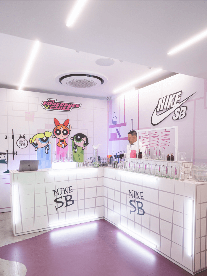 Powerpuff Creation Lab POWERPUFF GIRLS LABORATORY NIKE SB EN BROKEN CHAINS