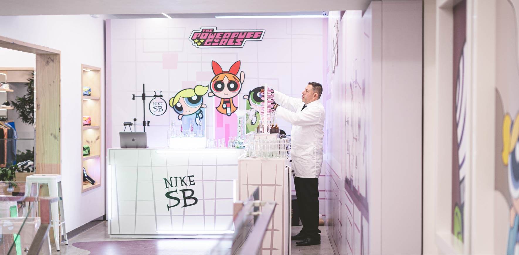 Powerpuff Creation Lab POWERPUFF GIRLS LABORATORY NIKE SB EN BROKEN CHAINS