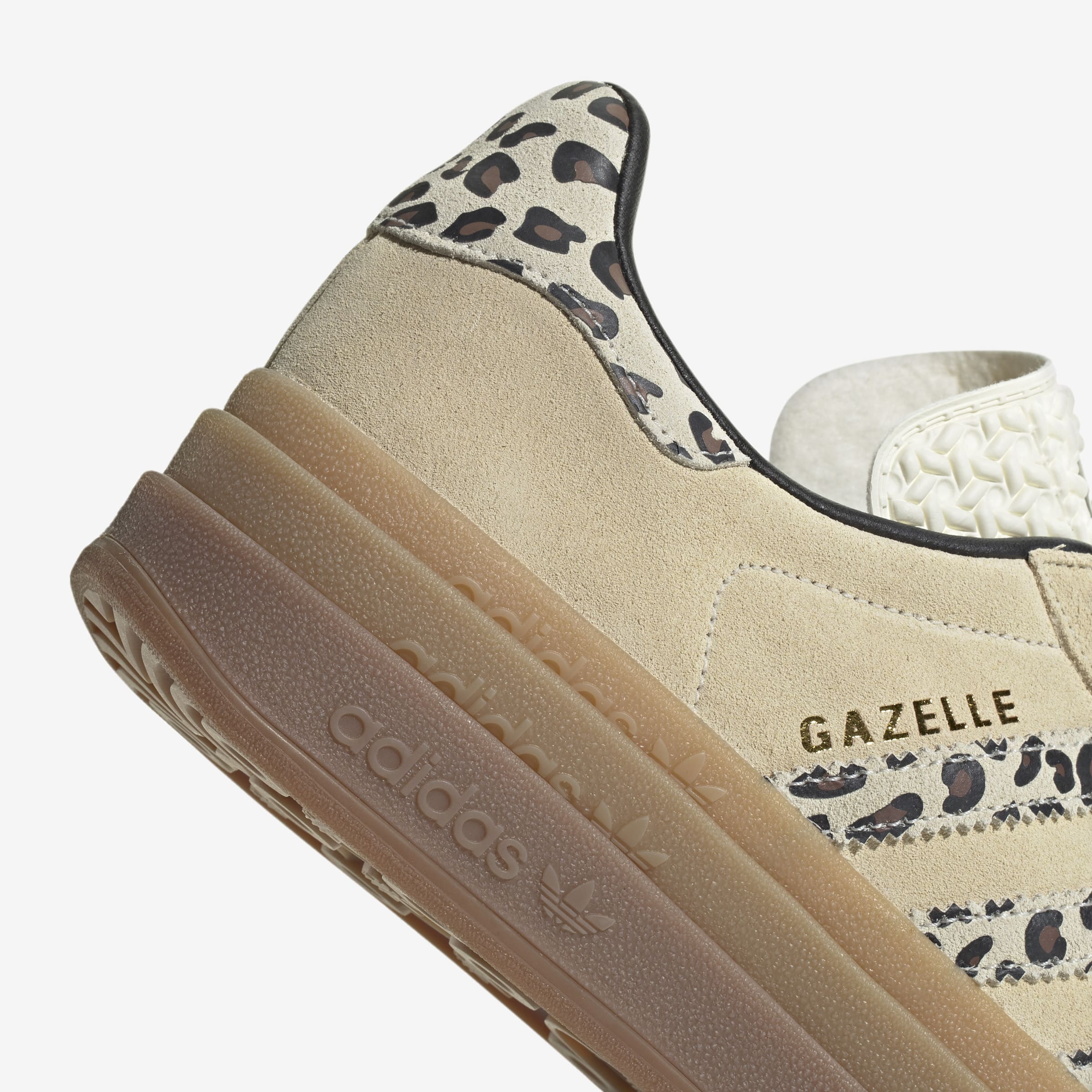 gazelle bold