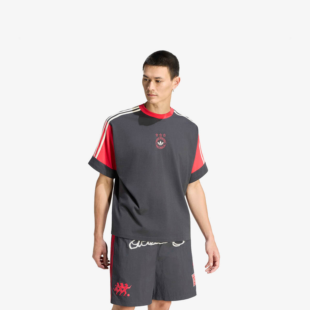 Adidas Graphics Paneled Tee