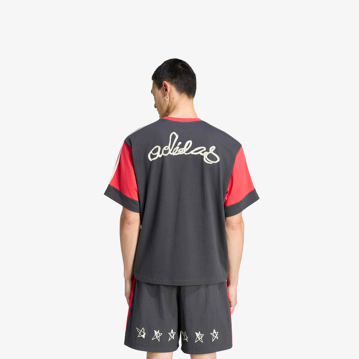Adidas Graphics Paneled Tee